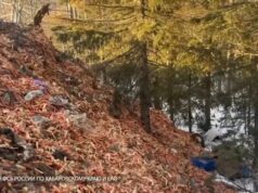 В Хабаровском крае участники преступного сообщества подозреваются в незаконной добыче камчатского краба на сумму более одного миллиарда рублей 1edc9f12-ead1-4014-a230-871d4520672f