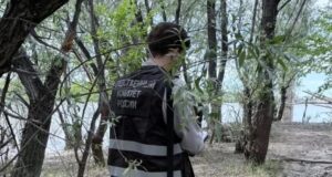 Сотрудник СК России на месте обнаружения тела пропавшего сапбордиста - РИА Новости, 1920, 02.06.2026