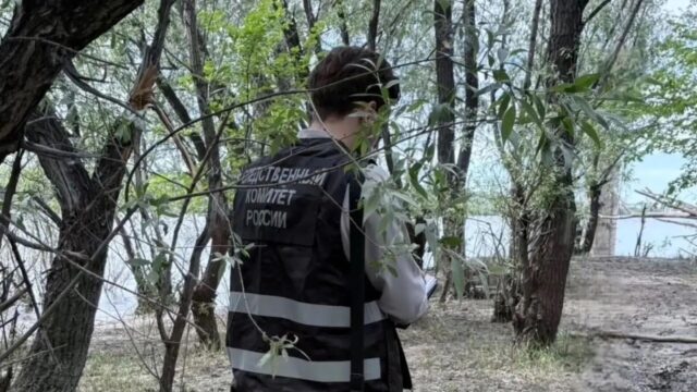 РИА Новости: по предварительной причине, пропавшие в Омске сапбордисты утонули Сотрудник СК России на месте обнаружения тела пропавшего сапбордиста - РИА Новости, 1920, 01.06.2026