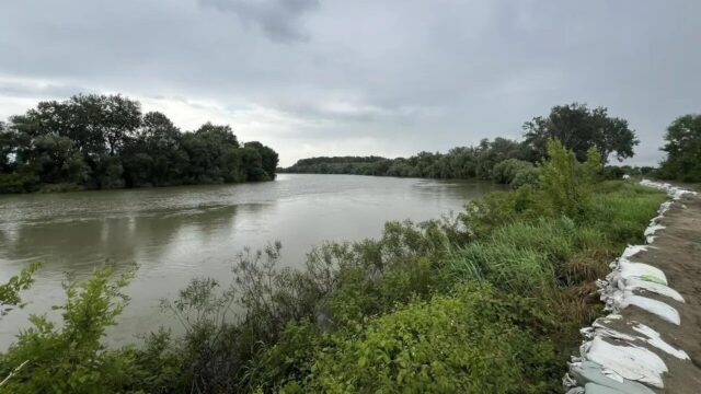 В Крымском районе Кубани ввели режим ЧС из-за разлива реки Уровень реки Кубань в Крымском районе Краснодарского края - РИА Новости, 1920, 15.06.2026