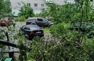 В Кушве из-за смерча повреждено более 60 кровель зданий и семь автомобилей Последствия прохождения смерча в Свердловской области - РИА Новости, 1920, 22.06.2026