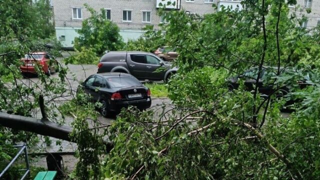 В свердловской Кушве ввели режим повышенной готовности из-за последствий урагана Последствия прохождения смерча в Свердловской области - РИА Новости, 1920, 22.06.2026
