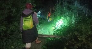 Спасатели и волонтеры в Свердловской области на поисках женщины с деменцией - РИА Новости, 1920, 27.06.2026