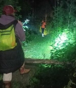 Спасатели и волонтеры в Свердловской области на поисках женщины с деменцией - РИА Новости, 1920, 27.06.2026