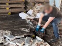 Полтонны кокаина нашли в тушах тунца в порту Петербурга. У предполагаемого организатора изъяли элитн