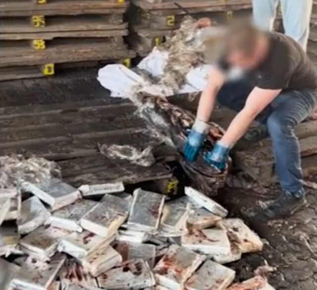 Полтонны кокаина нашли в тушах тунца в порту Петербурга. У предполагаемого организатора изъяли элитн