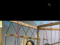 Две 13-летние девочки пропали в Туве. Их разыскивают спасатели.