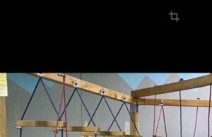 Две 13-летние девочки пропали в Туве. Их разыскивают спасатели. Две 13-летние девочки пропали в Туве. Их разыскивают спасатели.