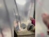 Наркотики стоимостью больше миллиарда рублей изъяли у межрегионального наркосиндиката.