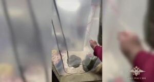 Наркотики стоимостью больше миллиарда рублей изъяли у межрегионального наркосиндиката.