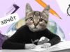 Школьники больше не смогут купить ответы на итоговое сочинение в тг-каналах.