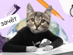 Школьники больше не смогут купить ответы на итоговое сочинение в тг-каналах.