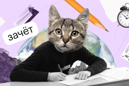 Школьники больше не смогут купить ответы на итоговое сочинение в тг-каналах.