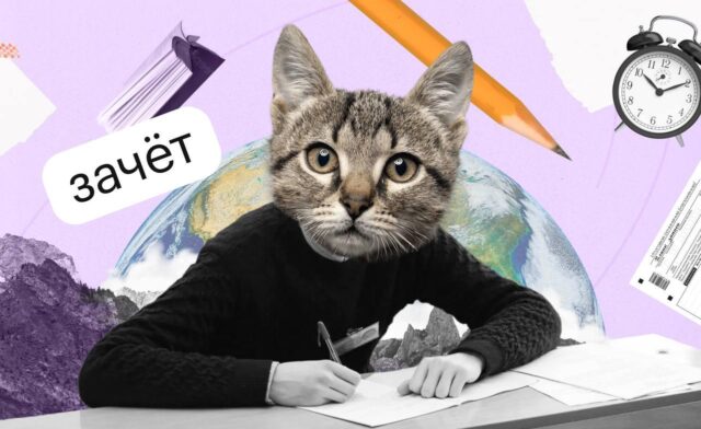 Школьники больше не смогут купить ответы на итоговое сочинение в тг-каналах. Школьники больше не смогут купить ответы на итоговое сочинение в тг-каналах.