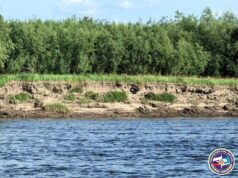 Лодка с пассажирами перевернулась в Якутии. Четверо человек пропали без вести. Лодка с пассажирами перевернулась в Якутии. Четверо человек пропали без вести.