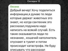 «Кошмар на улице Нагатинской». Пока одни страдают от потопов из-за дождей, других затопило фекалиями