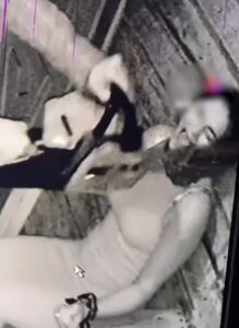 Владельцев и аниматоров дагестанского «Дома ужасов» приговорили к срокам от трёх до пяти лет колонии