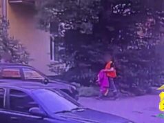 Мужчина выстрелил прохожему в лицо сигнальным пистолетом в Архангельске. Его задержали.