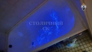 Мужчина убил отца в Москве, вывез тело в сумках, а затем попытался скрыться во Владимирской области.