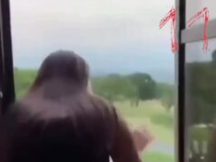 Появилось видео начала конфликта с российскими туристками в отеле Agareni Estate: девушки дружелюбно