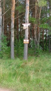 Пятилетний ребёнок утонул в пруду в Татарстане.