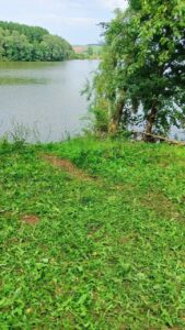 Пятилетний ребёнок утонул в пруду в Татарстане.