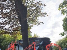 публикует первые кадры изнутри автобуса, который врезался в дерево.