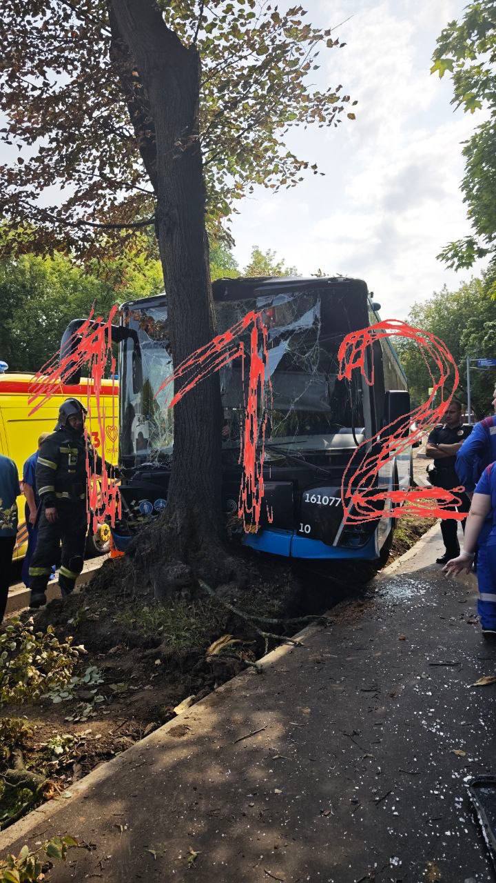 публикует первые кадры изнутри автобуса, который врезался в дерево.