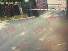 публикует момент столкновения автобуса с деревом.