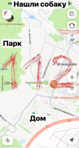 39-летняя женщина пропала почти две недели назад в Москве. Тело помог найти её питомец.