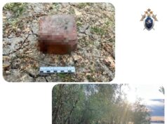 Мужчина забил знакомого кирпичом во время отдыха с палатками на острове в Астрахани. Мужчина забил знакомого кирпичом во время отдыха с палатками на острове в Астрахани.