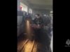 2500 поросят сгорели в Курганской области.