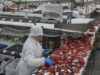 ВСУ несколько дней обстреливают свинокомплекс «Мираторга» в Брянской области В цехе мясоперерабатывающего предприятия - РИА Новости, 1920, 21.07.2026