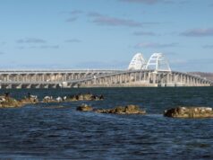 На Крымском мосту временно перекрыли движение автотранспорта Крымский мост - РИА Новости, 1920, 16.07.2026