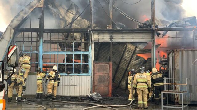 В Батайске полностью ликвидировали пожар двух складов и деревянных поддонов Пожар в Батайске Ростовской области - РИА Новости, 1920, 09.07.2026