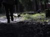 В Щелково отправившийся на прогулку без телефона пенсионер провел в лесу 5 суток Мужчина в лесу - РИА Новости, 1920, 20.07.2026