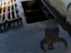 «Водоканал» ликвидирует последствия циклона в Петербурге Водосток - РИА Новости, 1920, 12.07.2026