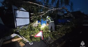 Все пострадавшие от смерча жители Кушвы получили единовременные выплаты Ликвидация последствий смерча в Кушве в Свердловской области - РИА Новости, 1920, 01.07.2026