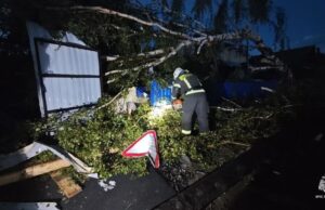 Все пострадавшие от смерча жители Кушвы получили единовременные выплаты Ликвидация последствий смерча в Кушве в Свердловской области - РИА Новости, 1920, 01.07.2026
