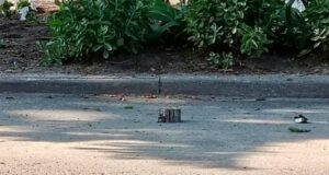 В центре Рыльска подорвалась машина с сотрудниками администрации Рыльского район Курской области - РИА Новости, 1920, 03.07.2026