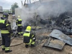 В подмосковной деревне Чашниково вспыхнул пожар в автосервисе, огонь локализован Пожар в автосервисе в городском округе Солнечногорск. 7 июля 2026 - РИА Новости, 1920, 07.07.2026