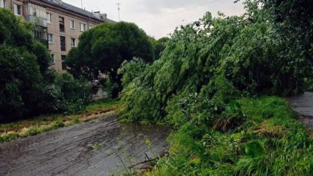 В Златоусте после шторма чинят поврежденные крыши и ремонтируют контактные сети Последствия прохождения штормового фронта в Златоусте 11 июля 2026 года - РИА Новости, 1920, 11.07.2026
