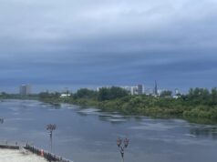 Моор: уровень воды в реке Туре в Тюмени замедлился Паводок на реке Туре в Тюмени - РИА Новости, 1920, 31.07.2026