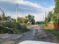 В Алтайском крае ураганный ветер повредил крыши около 70 жилых домов Последствия ураганного ветра в Алтайском крае - РИА Новости, 1920, 22.07.2026