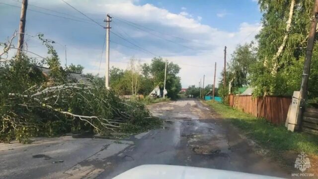 В Алтайском крае ураганный ветер повредил крыши около 70 жилых домов Последствия ураганного ветра в Алтайском крае - РИА Новости, 1920, 22.07.2026