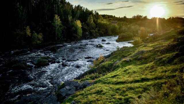 В Шадринске проверяют качество воздуха и питьевой воды из-за запаха у реки Исеть Река Исеть - РИА Новости, 1920, 30.07.2026