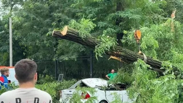 В Ростовской области более 50 человек обратились за медпомощью из-за непогоды Устранение последствий непогоды в Ростове-на-Дону - РИА Новости, 1920, 26.07.2026