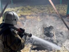 В Снежной в Курганской области 2,5 тысячи поросят погибли при пожаре на ферме Пожар на животноводческой ферме в Курганской области - РИА Новости, 1920, 31.07.2026