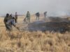 Пожары от атак ВСУ нанесли самый масштабный урон заповеднику «Аскания-Нова» Ликвидация степного пожара - РИА Новости, 1920, 19.07.2026