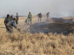 Пожары от атак ВСУ нанесли самый масштабный урон заповеднику «Аскания-Нова» Ликвидация степного пожара - РИА Новости, 1920, 19.07.2026